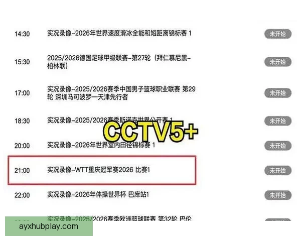 世界杯精彩赛事直播全攻略实时竞猜与赛况一手掌握指南